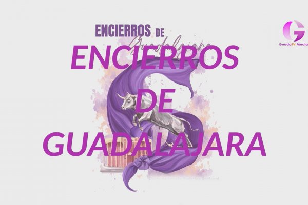 Así les hemos contado los encierros