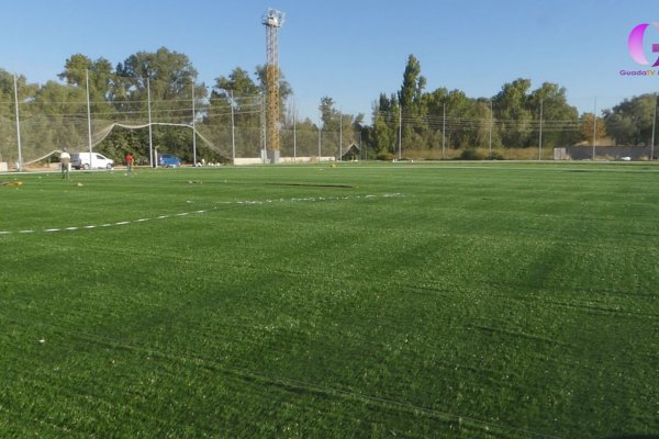 Apunto de terminar los anexos del Pedro Escartín